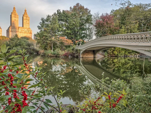 Puente de proa Central Park otoño — Foto de Stock