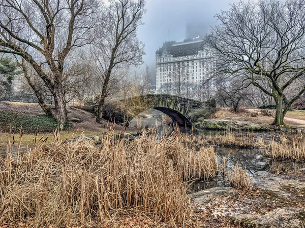 Gapstow köprü central park, new york city — Stok fotoğraf