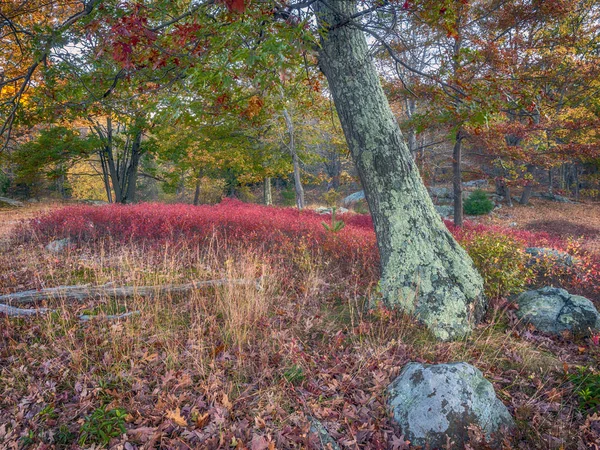 Harriman State Park, New York State — Stock Photo, Image