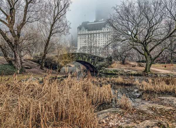 Gapstow bridge Central Park, New York City — Stock Photo, Image