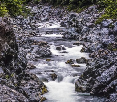 Jedediah smith redwoods state park
