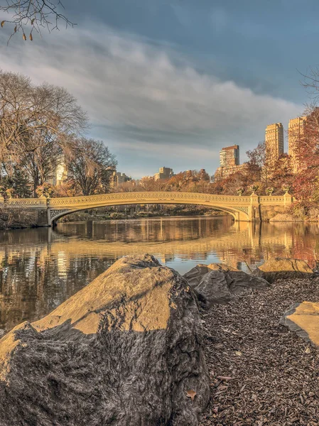 yay köprü Merkez Parkı