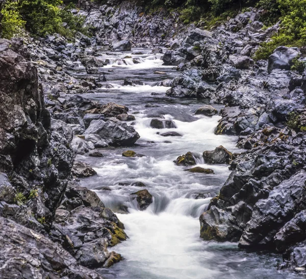 Jedediah smith redwoods Parque Estatal — Foto de Stock