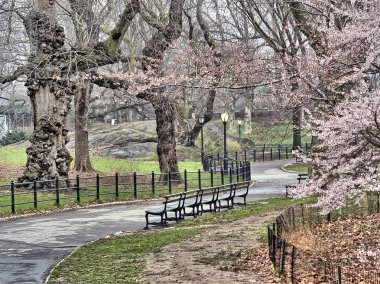Bahar central park, new york city 