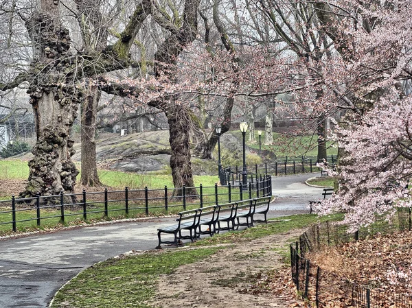Bahar central park, new york city 