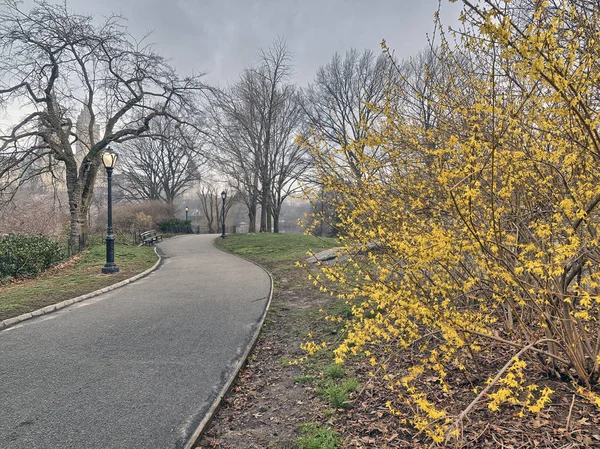 Central Park, New York City tavaszi — Stock Fotó