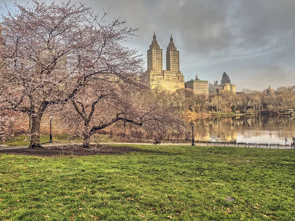 春天的中央公园、 纽约城 — 图库照片
