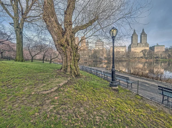 Central Park, New York City spring — Stock Photo, Image