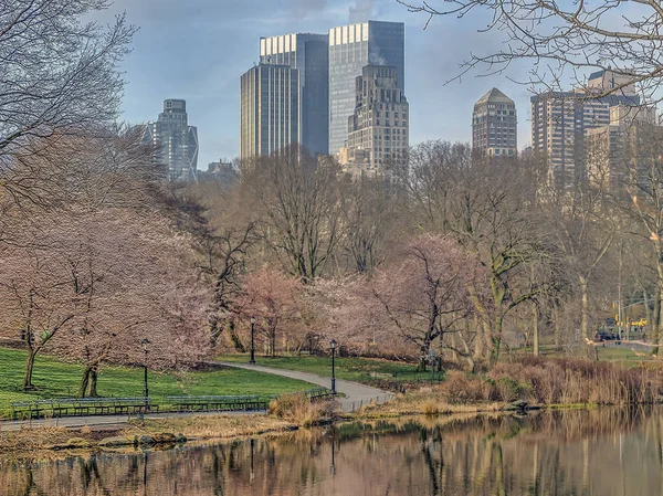 Central Park, Nueva York primavera — Foto de Stock