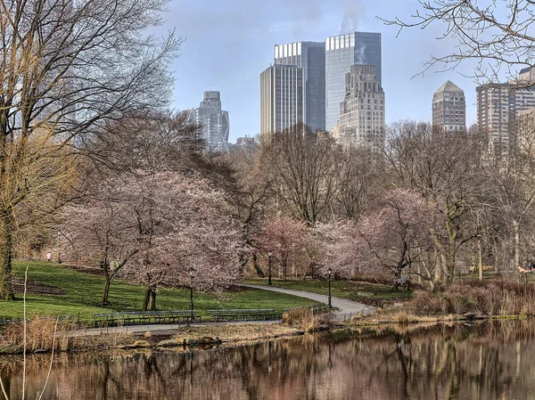 Central park, new york city våren — Stockfoto