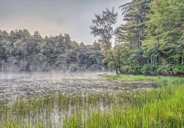 Şehir dışında New York'ta Gölü