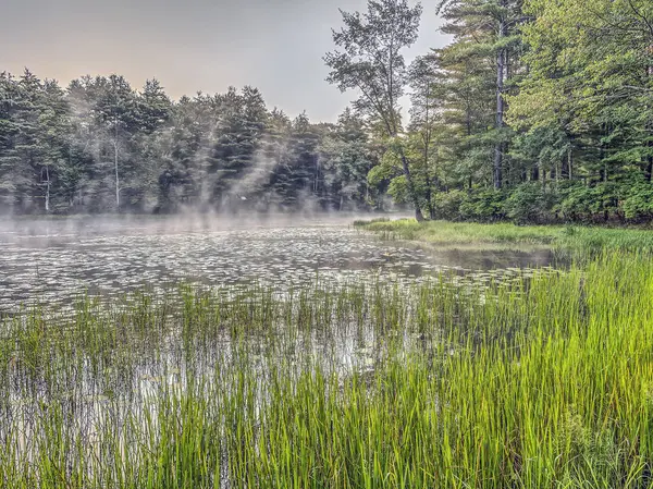 Şehir dışında New York'ta Gölü