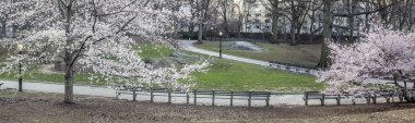 Bahar central park, new york city 