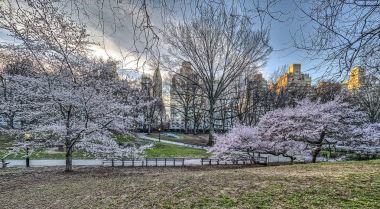 Bahar central park, new york city 