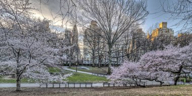 Bahar central park, new york city 