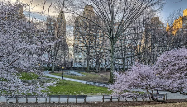 Κεντρικό πάρκο, Νέα Υόρκη άνοιξη — Φωτογραφία Αρχείου