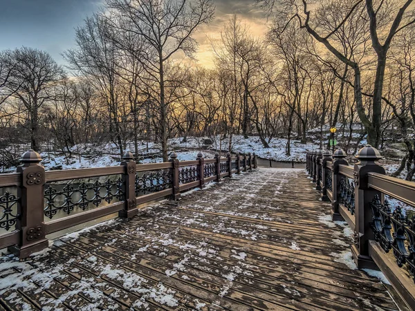 Central Park, Nova York inverno — Fotografia de Stock