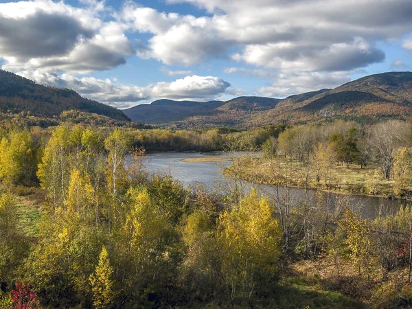 Herbst im Wald — Stockfoto