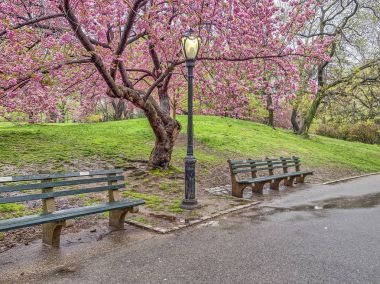 Bahar central park, new york city 