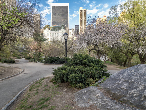 Central Park, New York City in early spring