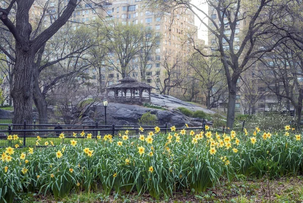 Central Park, New York City Spring — Stockfoto