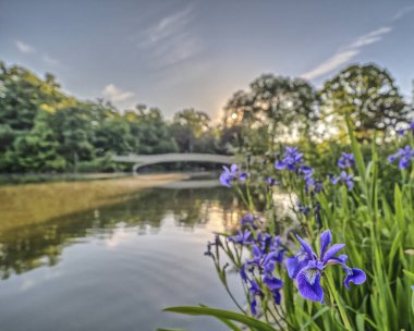 yay köprü Merkez Parkı