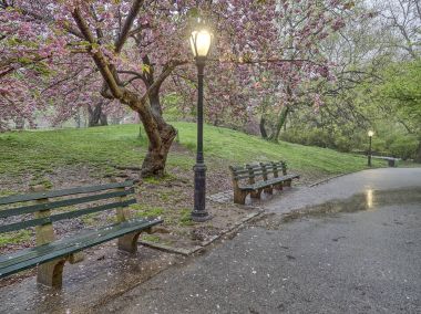 Bahar central park, new york city 