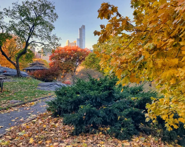 Central Park, New York City herfst — Stockfoto