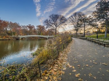 yay köprü Merkez Parkı