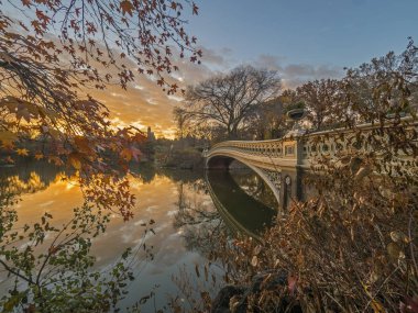 yay köprü Merkez Parkı