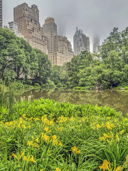 Central park, new york city våren — Stockfoto