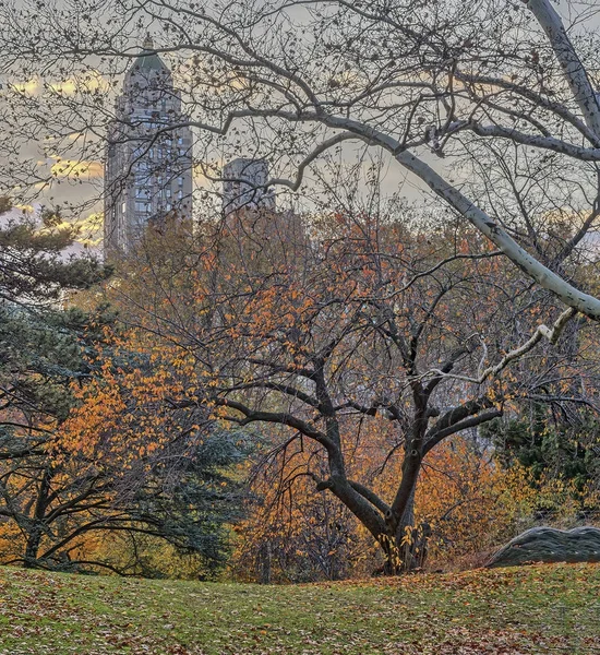 Central Park, New York City autumn — Stock Photo, Image