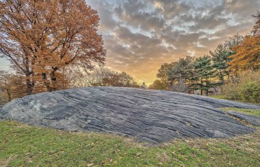 Central Park, New York şehir sonbahar