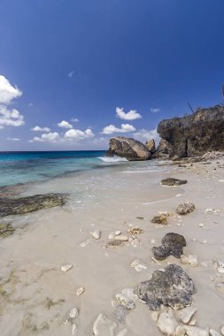 Tropikal plaj Bonaire üzerinde