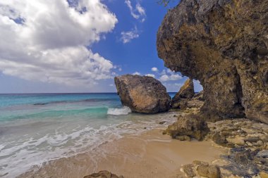 Tropikal plaj Bonaire üzerinde