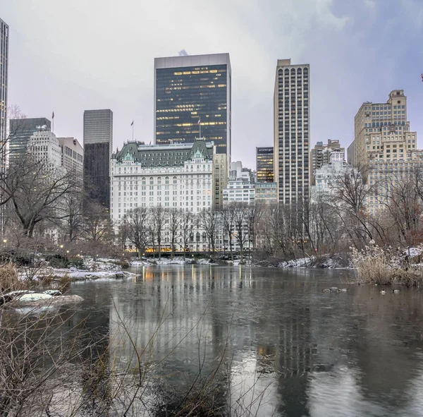 Central Park na sneeuw — Stockfoto