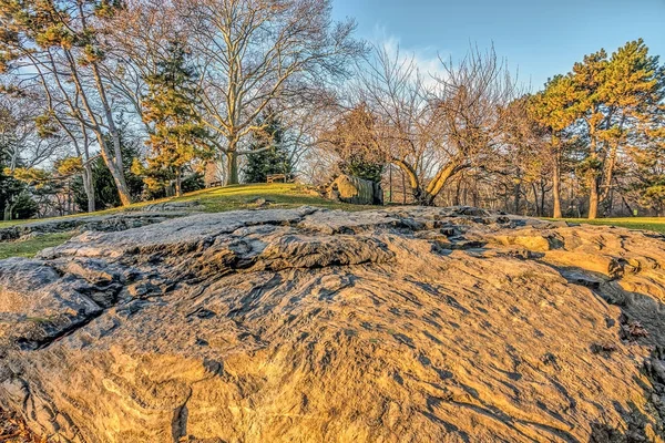 Central Park, New York City — Stock fotografie