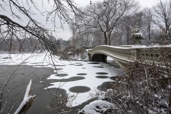 Íj bridge központi park — Stock Fotó