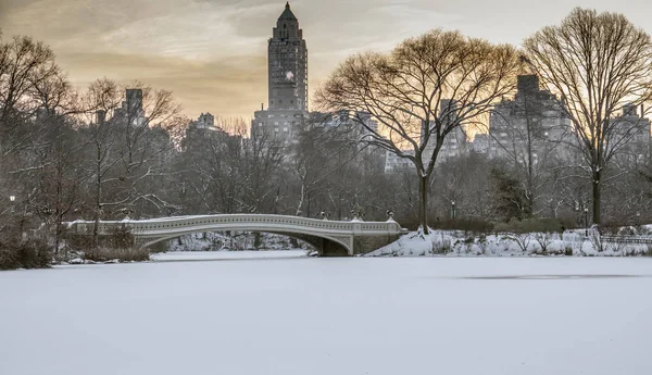 Boog brug central park — Stockfoto