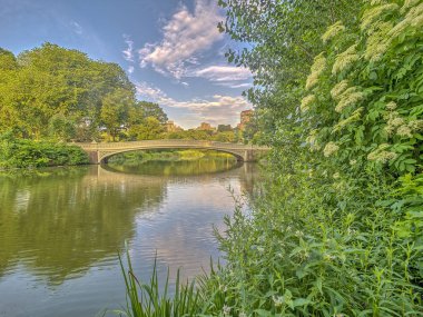 Central Park, New York City, öbür tarafa The Lake bulunan bir dökme demir köprü yay köprüdür 