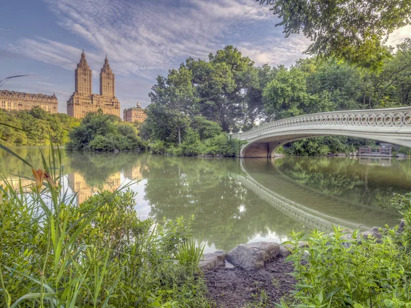 Łuk Jest Żeliwny Most Znajduje Się Central Parku Nowym Jorku — Zdjęcie stockowe