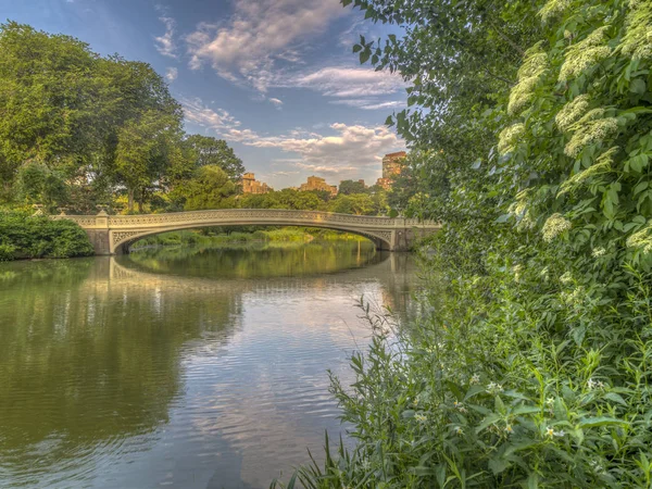 Bow Bridge Most Litiny Central Parku New Yorku Přechod Přes — Stock fotografie