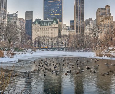 Central Park, New York Şehri