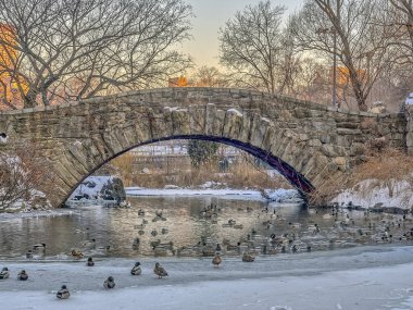 gapstow köprü central park, new york city