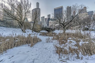 gapstow köprü central park, new york city