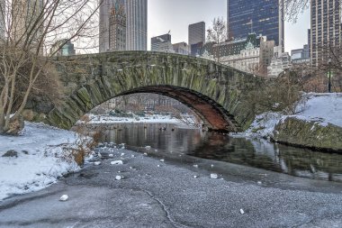 gapstow köprü central park, new york city