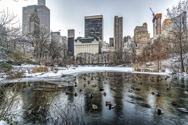 Central Park, New York Şehri — Stok fotoğraf