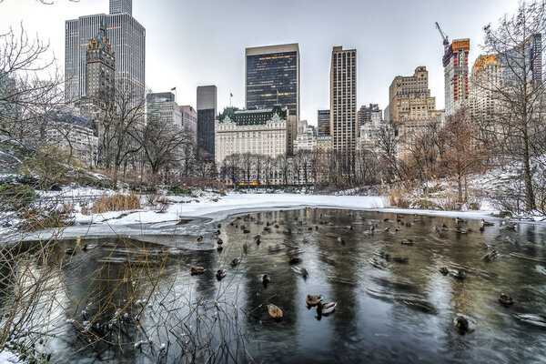 Central Park, New York City Plaza hotel in winter after snow