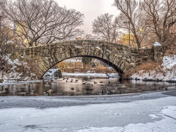 Gapstow köprü central park, new york city — Stok fotoğraf