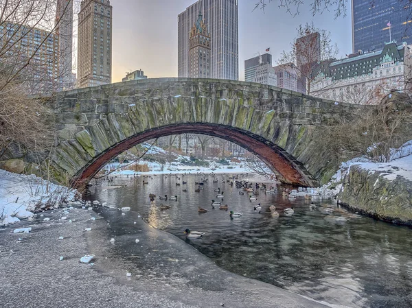 Gapstow Bridge Central Park, New York City — Stockfoto